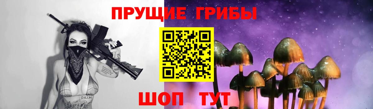 Галлюциногенные грибы MAGIC MUSHROOMS  Вход с VPN  Углич 